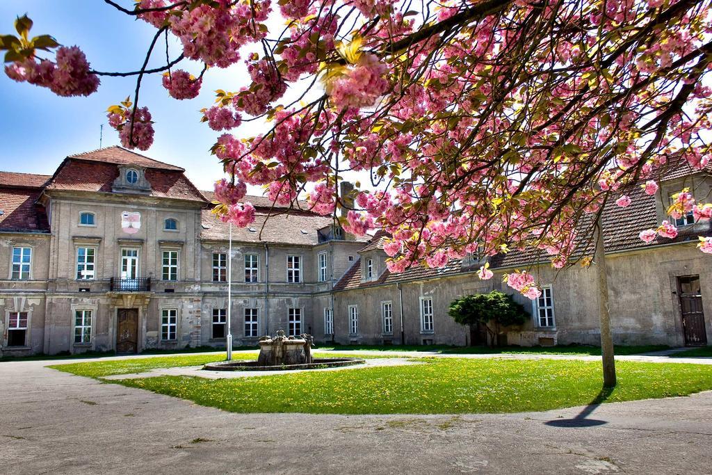 Gaestehaus Schloss Plaue Brandenburg  Екстер'єр фото